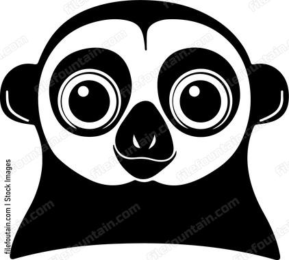 Slow Loris