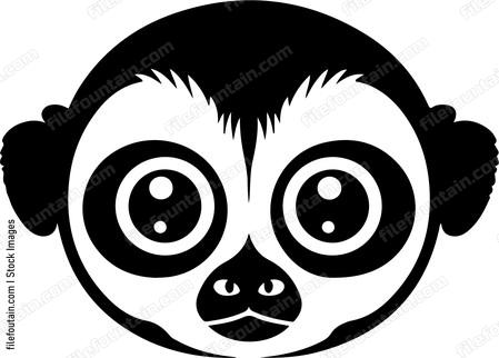 Slow Loris