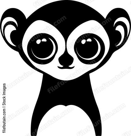 Slow Loris