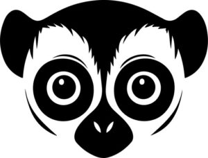 Slow Loris