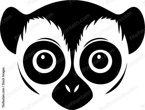 Slow Loris