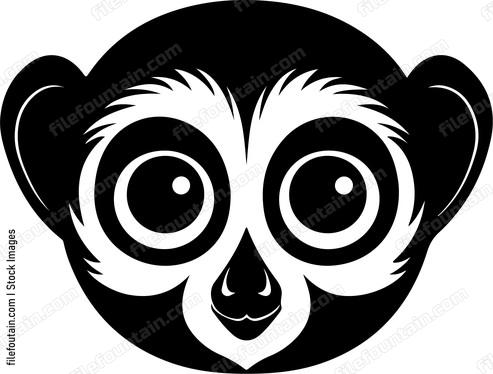 Slow Loris