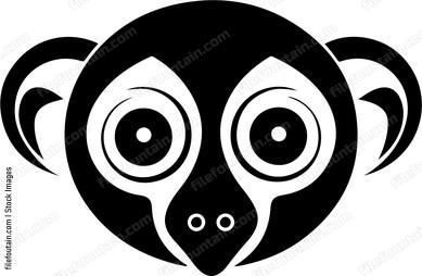 Slow Loris