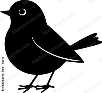 Small Robin Bird