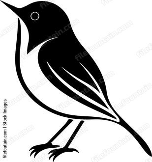 Small Robin Bird
