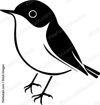Small Robin Bird