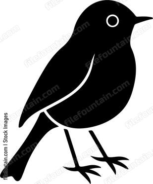 Small Robin Bird