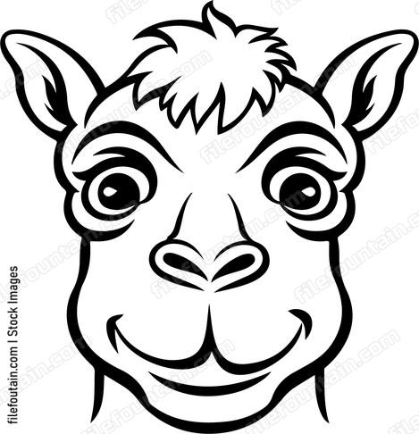 Smiling Camel Face