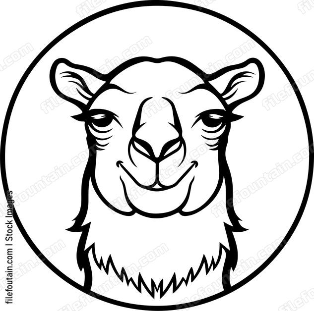 Smiling Camel Face