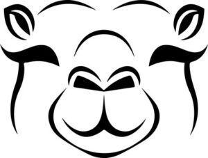 Smiling Camel Face