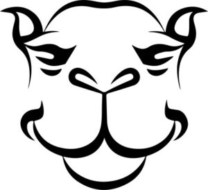 Smiling Camel Face