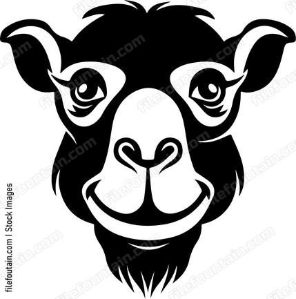 Smiling Camel Face