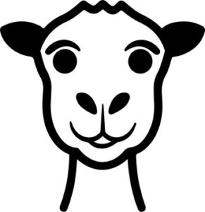 Smiling Camel Face