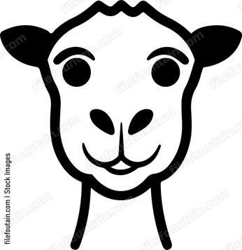 Smiling Camel Face