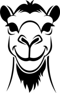 Smiling Camel Face