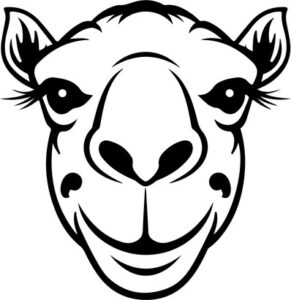Smiling Camel Face