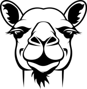 Smiling Camel Face
