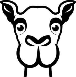 Smiling Camel Face