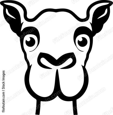 Smiling Camel Face