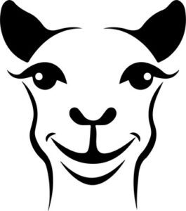 Smiling Camel Face