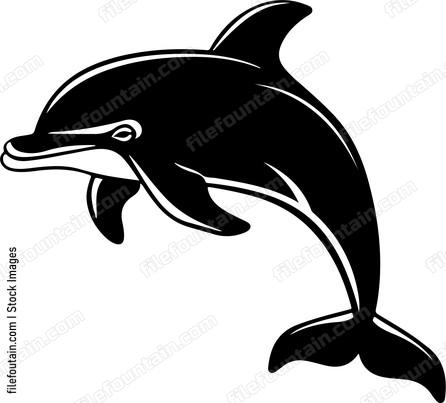 Smiling Dolphin