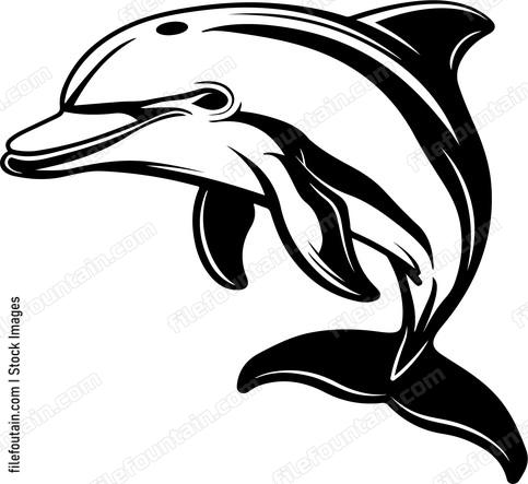 Smiling Dolphin
