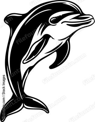 Smiling Dolphin