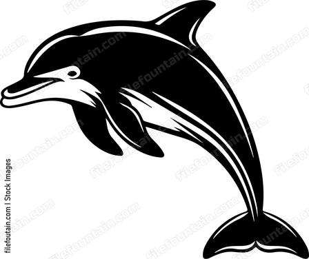 Smiling Dolphin