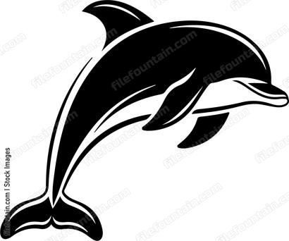 Smiling Dolphin