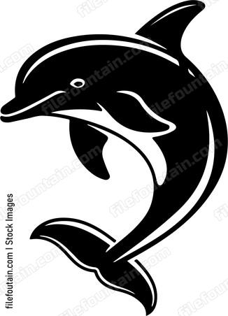 Smiling Dolphin