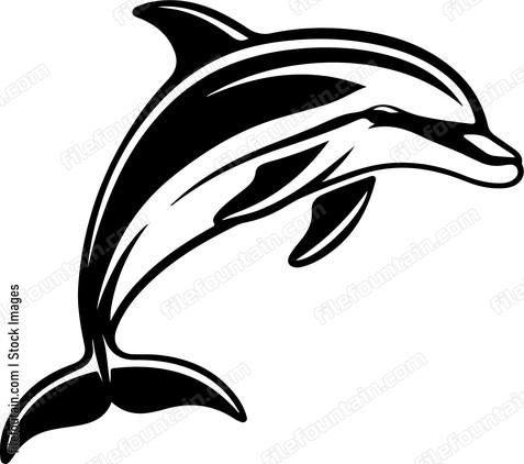 Smiling Dolphin