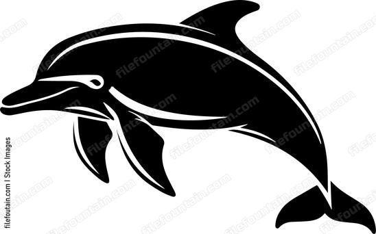 Smiling Dolphin