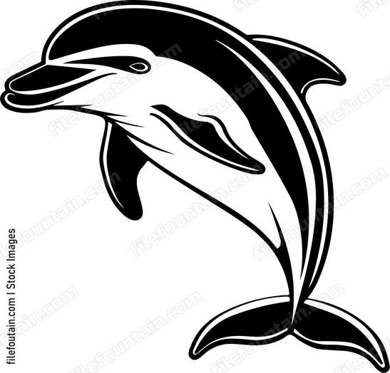 Smiling Dolphin