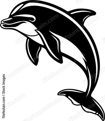 Smiling Dolphin