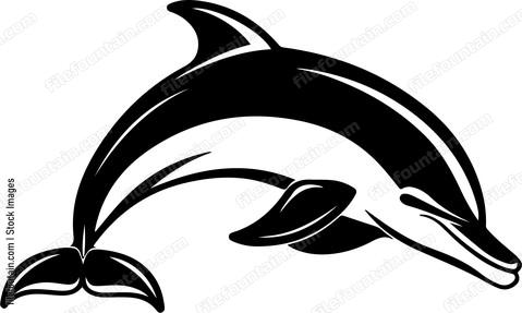 Smiling Dolphin
