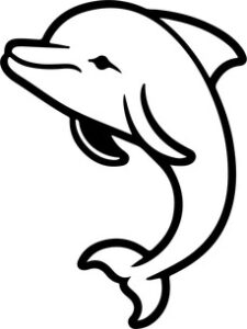 Smiling Dolphin