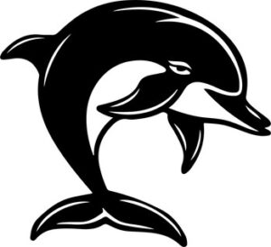 Smiling Dolphin
