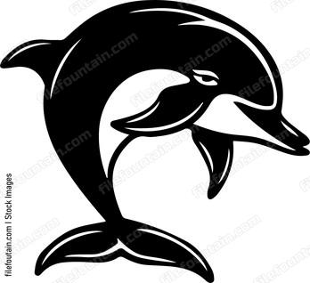 Smiling Dolphin