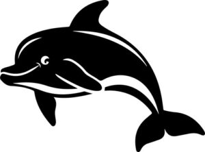 Smiling Dolphin