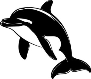 Smiling Dolphin