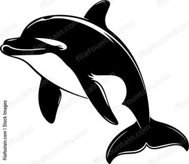 Smiling Dolphin