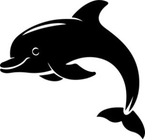Smiling Dolphin