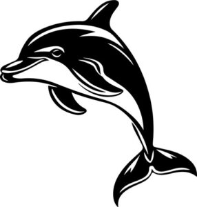 Smiling Dolphin
