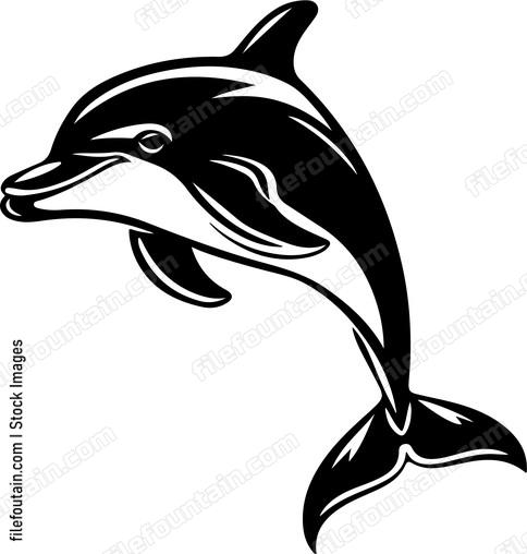Smiling Dolphin