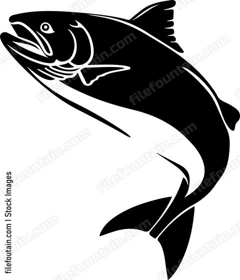 Sockeye Salmon