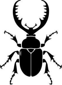 Stag Beetle