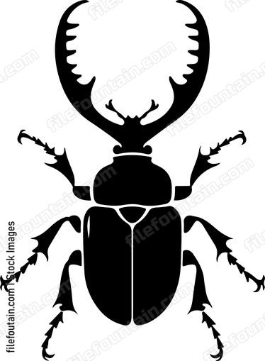 Stag Beetle