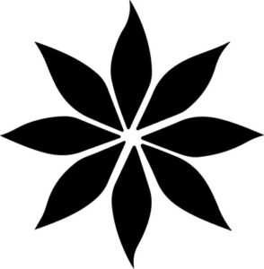 Star Anise