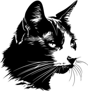 Staring Cat