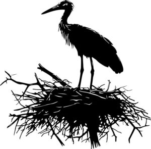 Stork Nest